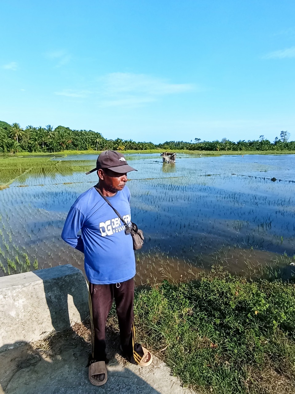 Petani Padang Kawa Abdya Terancam Gagal Panen