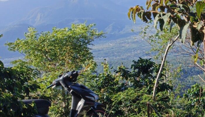 Gunung Burni Telong Naik Status Waspada, Masyarakat Diminta Jauhi Area Kawah
