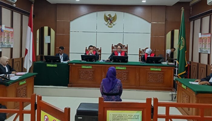 Nyonya N Dituntut 10 Tahun Penjara Kasus TPPU, 39 Aset Dirampas