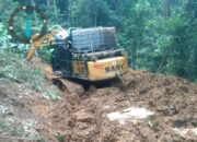 PETI Kembali Beraktivitas Di TNBG