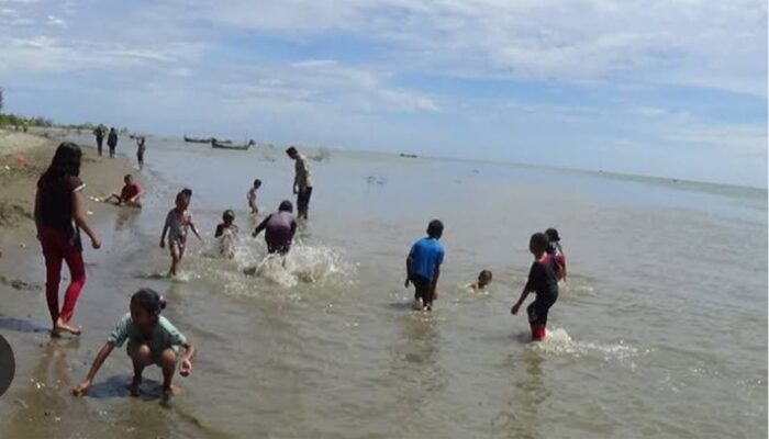 Ekowisata Tuntong Laut Di Pusong Cium Aceh Tamiang