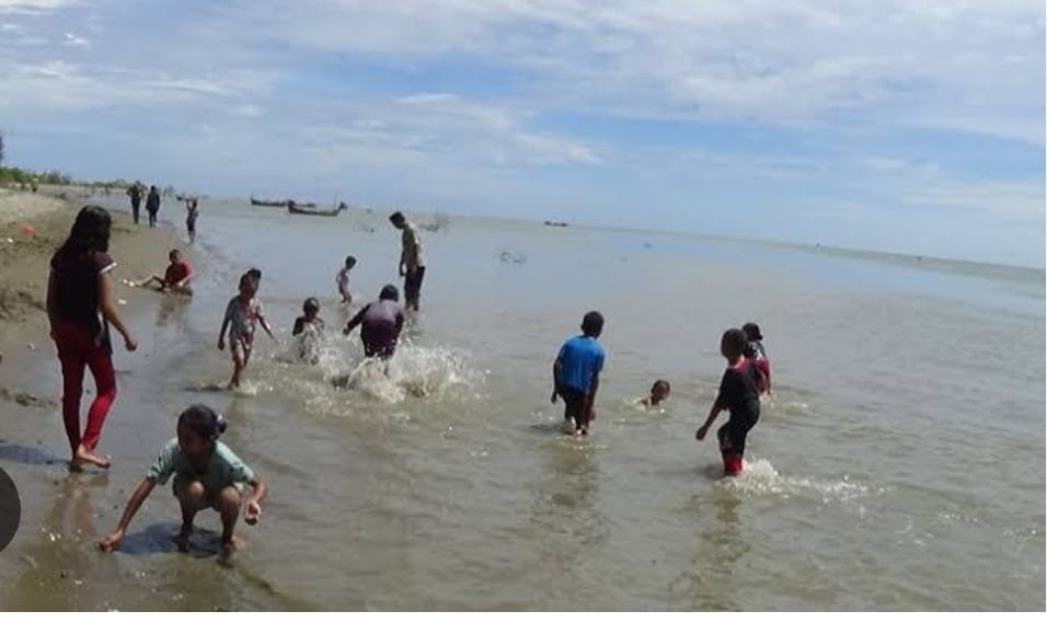 Ekowisata Tuntong Laut Di Pusong Cium Aceh Tamiang
