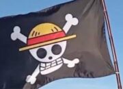One Piece: Cara Cerdas Bersuara