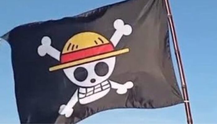 One Piece: Cara Cerdas Bersuara
