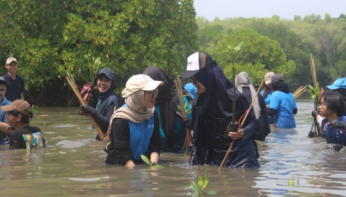 Debut di THE Impact Rankings, Komitmen UPER Pada Pembangunan Berkelanjutan