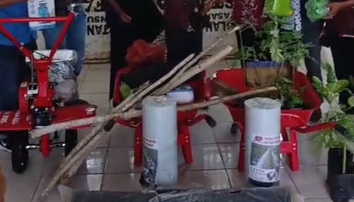 Lepas Ketergantungan Sayuran Luar Daerah, Dinas Pangan Galakkan Gerakan Menanam
