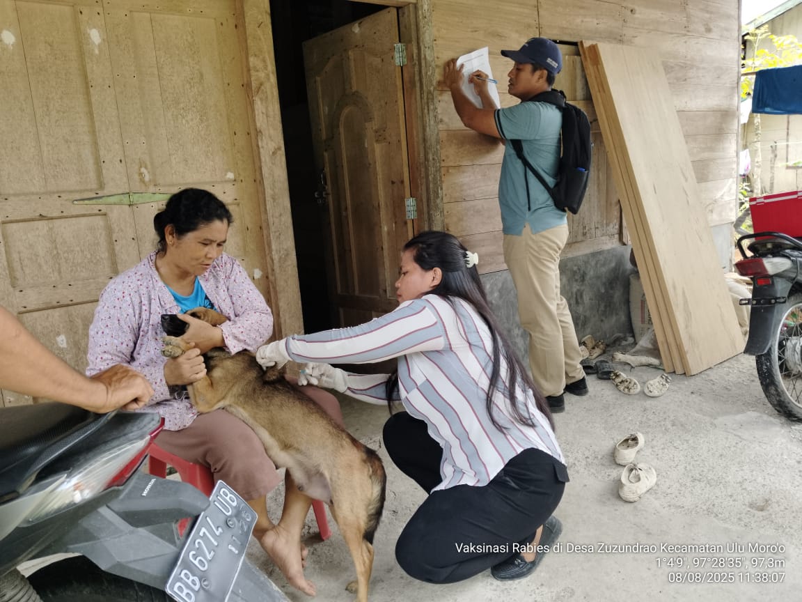 Dinas Ketapang, Pertanian Dan Perikanan Nisbar Vaksinasi Hewan Penular Rabies
