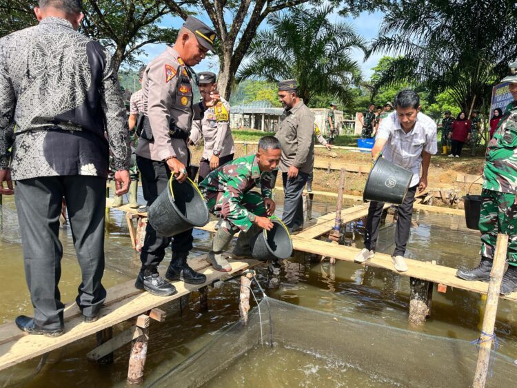 Yonif TP-857/ GG Ciptakan Ketahanan Pangan Dengan Membudidayakan Ikan