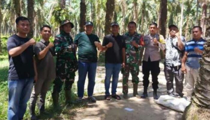 Terima Kasih Pak Prabowo Subianto Dan Dirut PT Agrinas Palma Nusantara