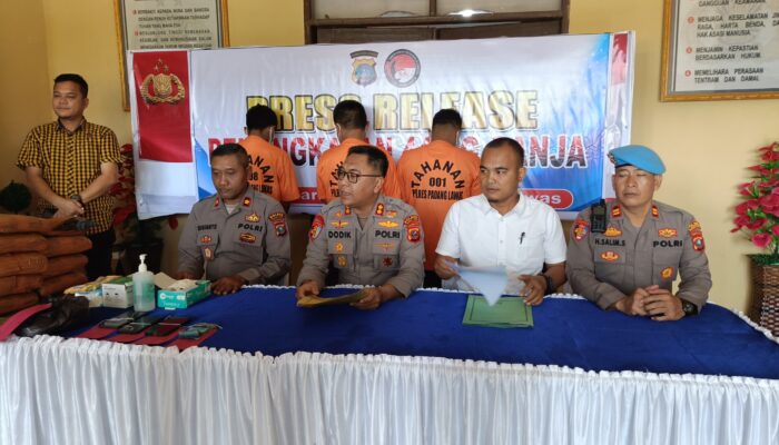 Polres Palas Amankan 44 Kg Ganja Bersama Tiga Tersangka