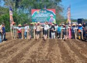 Dairi Canangkan Penanaman Jagung Untuk Dukung Ketahanan Pangan Nasional