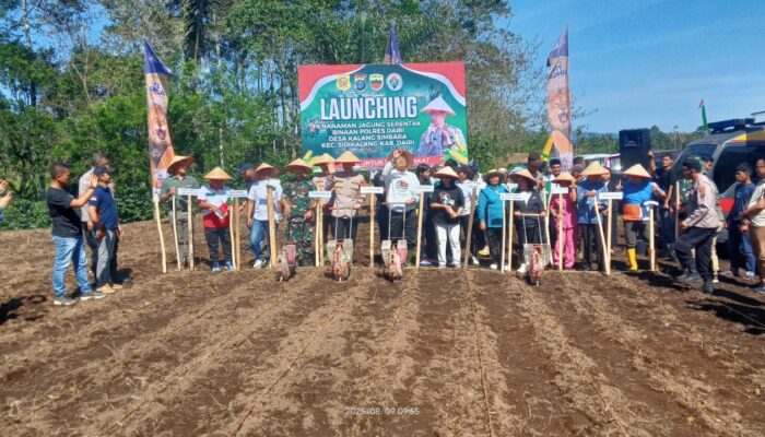 Dairi Canangkan Penanaman Jagung Untuk Dukung Ketahanan Pangan Nasional