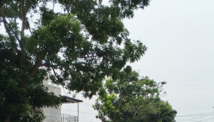 Jelang HUT Ke-80 RI, Polsek Besitang Bagikan Bendera Kepada Kenderaan Yang Melintas