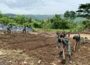 Yonif TP-857/GG Buka Lahan Baru Perkuat Ketahanan Pangan Di Pidie