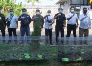 BC Langsa Musnahkan Burung Poksay Hongkong Dan Cica Daun Dahi Emas Asal Thailand