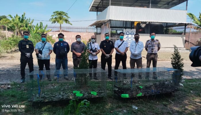 Ratusan Burung Hasil Penyelundupan Dimusnahkan