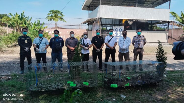 Ratusan Burung Hasil Penyelundupan Dimusnahkan