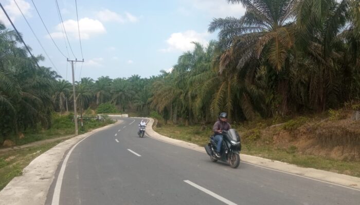 Oknum Anggota DPRK Aceh Tamiang Diduga Terlibat Pembiaran Kasus Lahan PT. DJ Alur Jambu