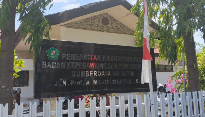 7.426 Honorer Pidie Berpeluang Jadi PPPK Paruh Waktu