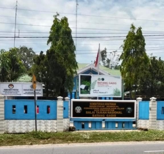 TNBG Harus Tindak PETI