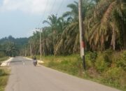 Kejari Aceh Tamiang Eksekusi Lahan PT. DJ Alur Jambu