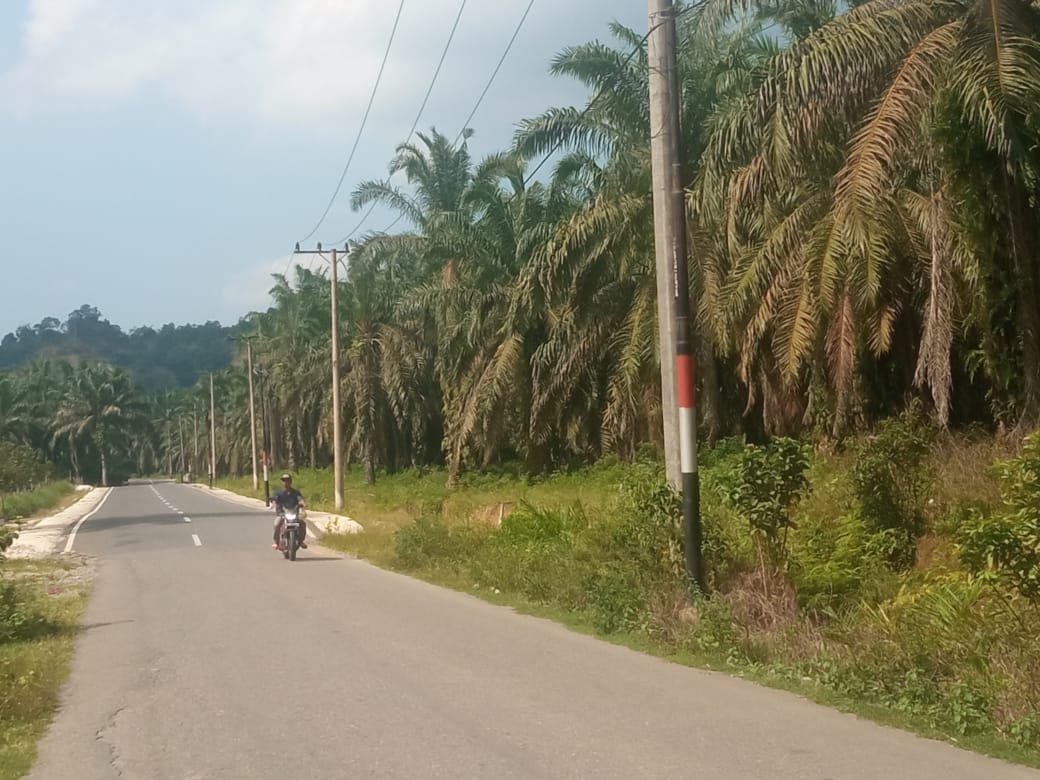 Kejari Aceh Tamiang Eksekusi Lahan PT. DJ Alur Jambu