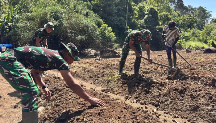 Prajurit Yonif TP-857/GG Dampingi Petani Cabai