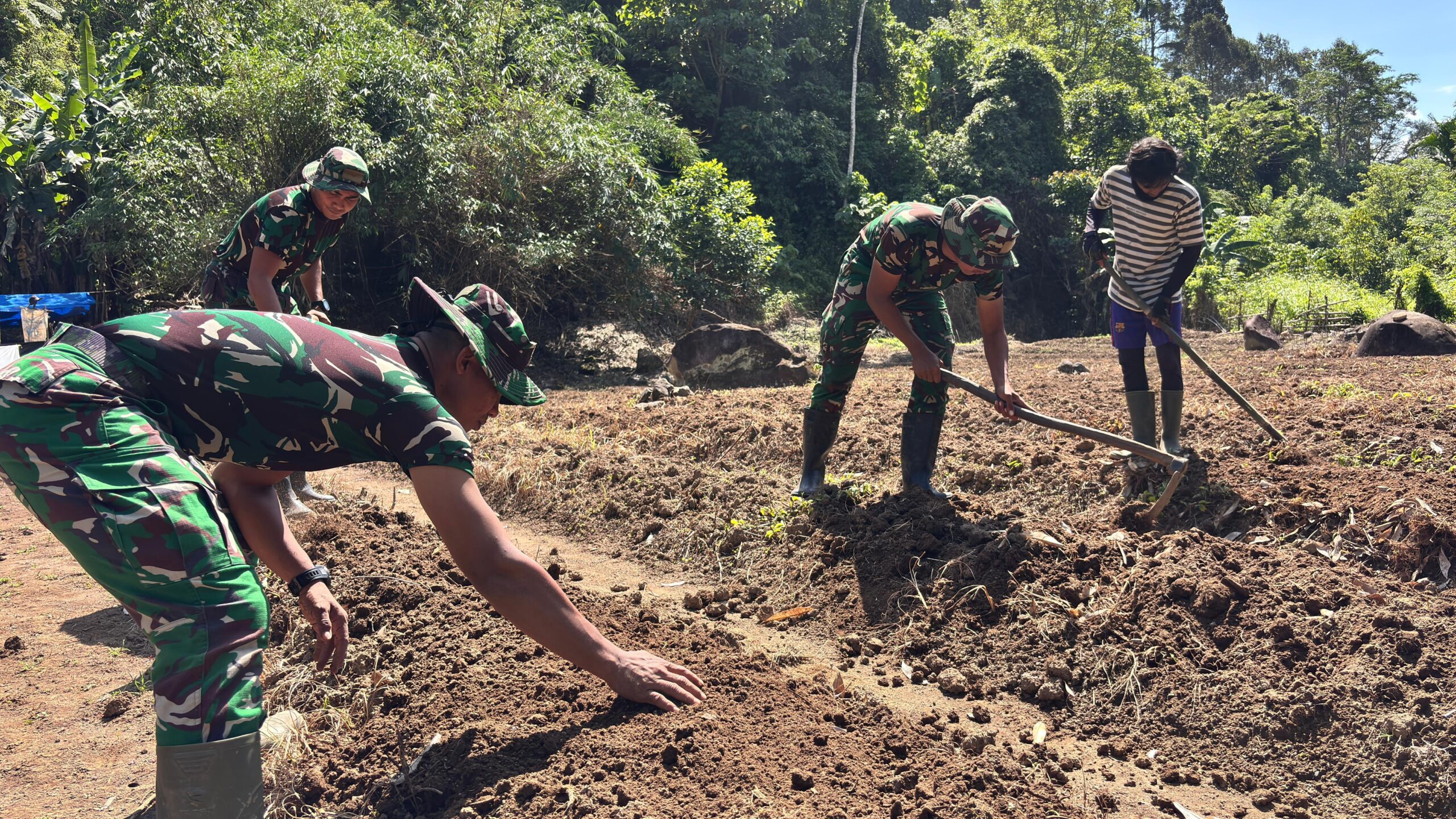 Prajurit Yonif TP-857/GG Dampingi Petani Cabai