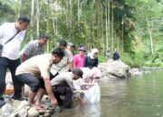 Lubuk Larangan Dibuka, Warga Panen Ikan Jurung