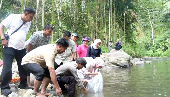 Lubuk Larangan Dibuka, Warga Panen Ikan Jurung