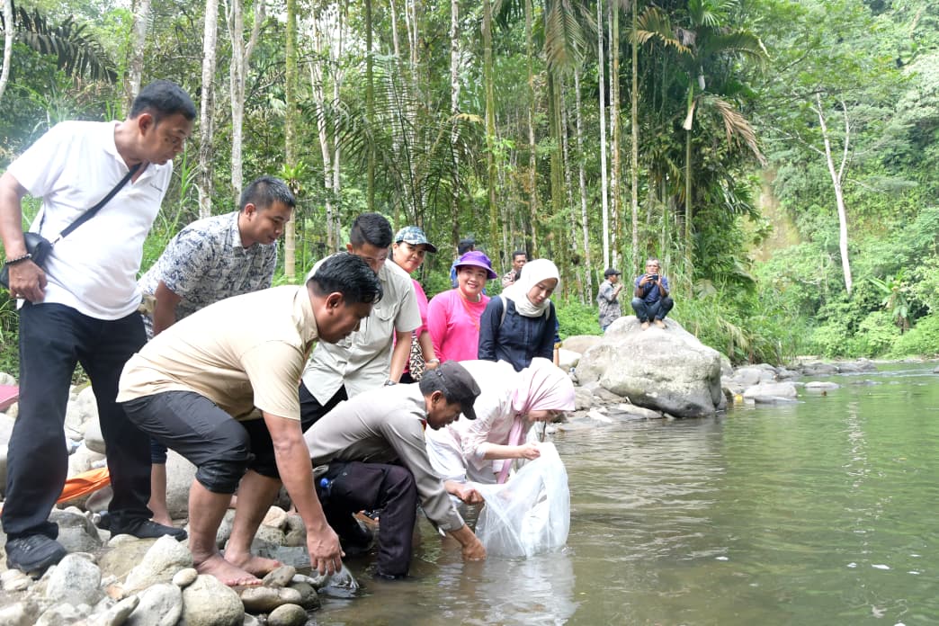 Lubuk Larangan Dibuka, Warga Panen Ikan Jurung