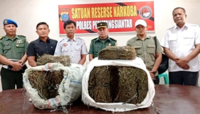 Polres P.Siantar Dalami Temuan Ganja 47 Kg Di Kampus USI