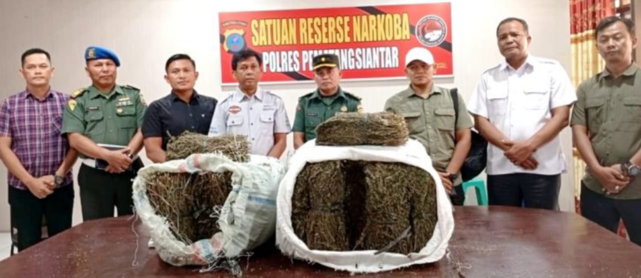 Polres P.Siantar Dalami Temuan Ganja 47 Kg Di Kampus USI