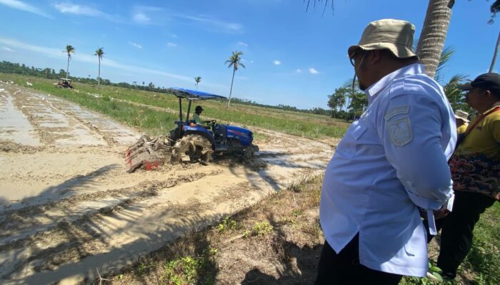 Keberhasilan Oplah Jadikan Sergai Lumbung Pangan Di Sumut