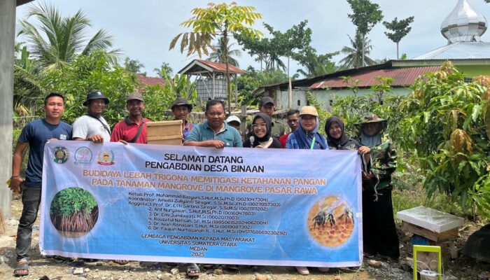 Budidaya Lebah Trigona Memitigasi Ketahanan Pangan Di Langkat