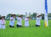 Wabup Syukri Apresiasi Quick Win Gubernur Aceh Untuk Petani