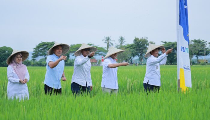 Wabup Syukri Apresiasi Quick Win Gubernur Aceh Untuk Petani