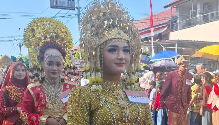 Pakaian Adat Aceh, Warnai Karnaval Di Bireuen