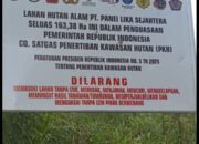 Dituding Alih Fungsi Hutan Jadi Kebun Sawit Di Tapsel, PT. PLS Justru Bingung Dan Bantah