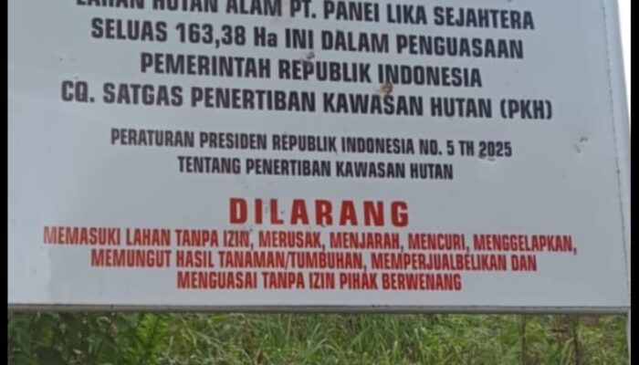 Dituding Alih Fungsi Hutan Jadi Kebun Sawit Di Tapsel, PT. PLS Justru Bingung Dan Bantah