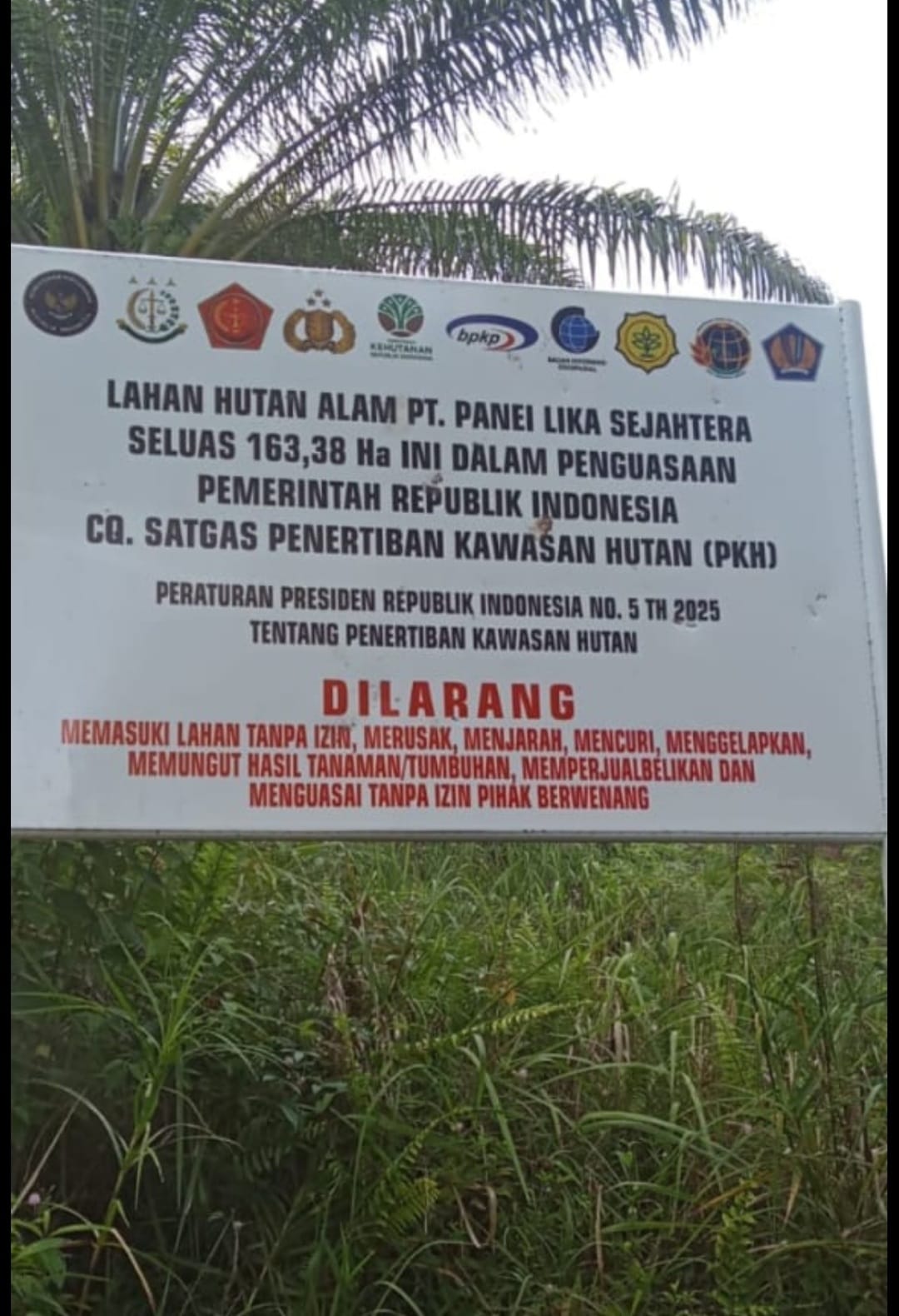 Dituding Alih Fungsi Hutan Jadi Kebun Sawit Di Tapsel, PT. PLS Justru Bingung Dan Bantah