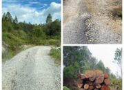 Jalan Rusak, Pengusaha Kayu “Alpa”