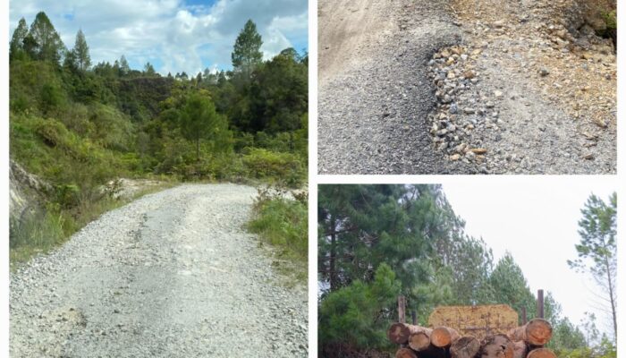 Jalan Rusak, Pengusaha Kayu “Alpa”