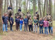 Pertamina Patra Niaga FT Pematang Siantar Dukung Wisata Edukasi Konservasi Gajah