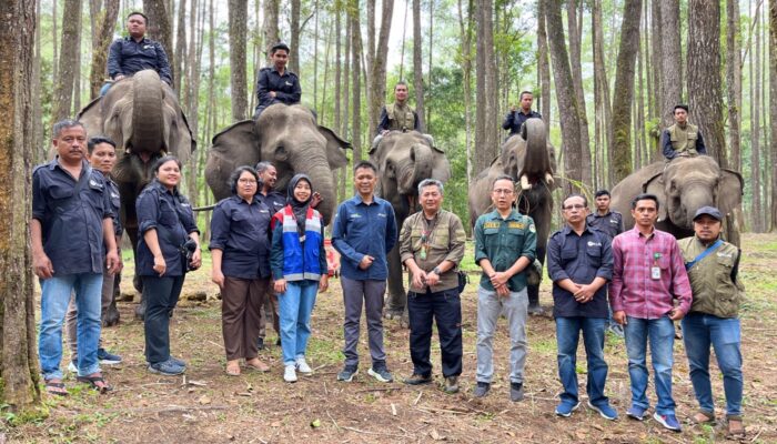 Pertamina Patra Niaga FT Pematang Siantar Dukung Wisata Edukasi Konservasi Gajah