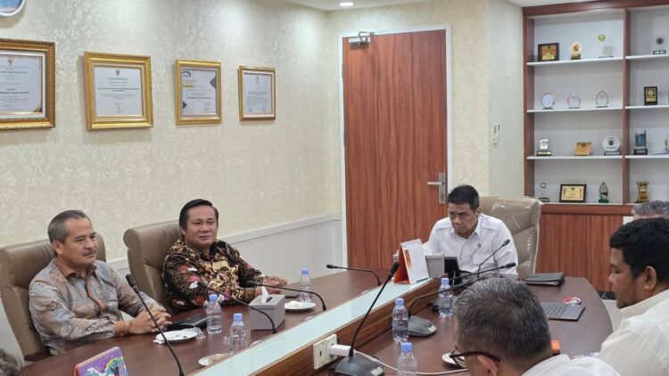 Bupati Nisbar Koordinasi Dengan KemenPAN-RB Soal Perekrutan P3K