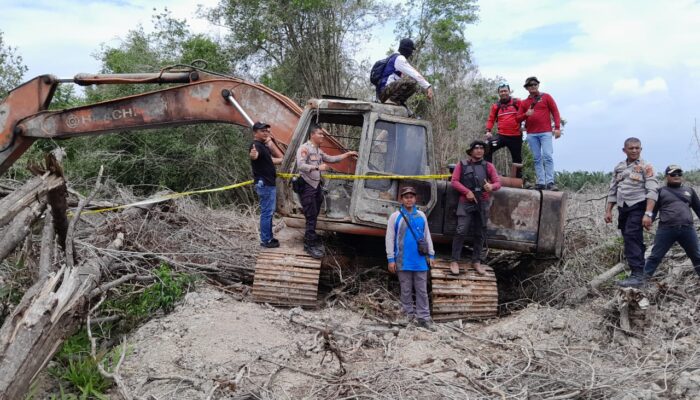  Alih Fungsi Lahan Jadi Kebun Sawit Sudah Berlangsung Dua Tahun