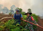 Kebakaran Lahan Di Bakongan Meluas, Dari 26 Ha Kini Sudah 50 Ha