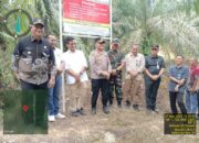 Bupati Armia: Tegakkan Hukum Bagi Pembabat TNGL