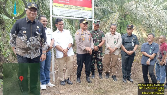 Bupati Armia: Tegakkan Hukum Bagi Pembabat TNGL